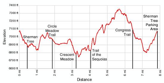 Giant Forest Loop Elevation Profile