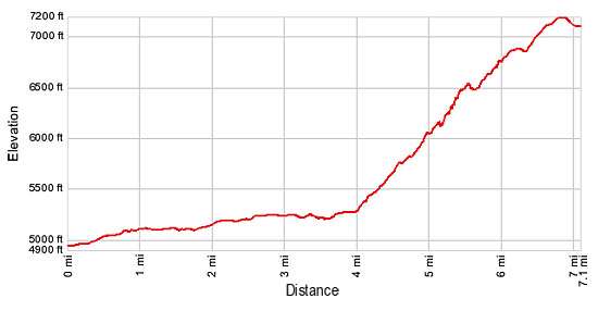 Elevation Profile - Swiftcurrent Pass
